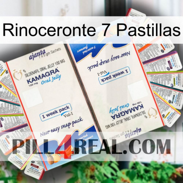 Rhino 7 Pills kamagra1.jpg